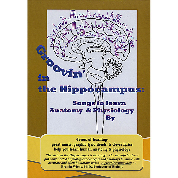 GROOVIN IN HIPPOCAMPUS