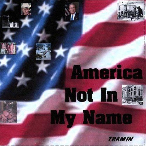AMERICA NOT IN MY NAME (CDR)