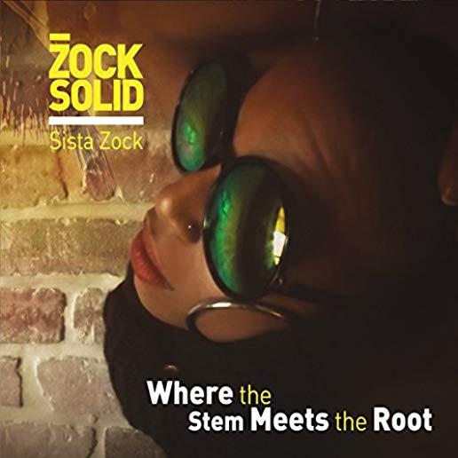 ZOCK SOLID: WHERE THE STORM MEETS THE ROOT