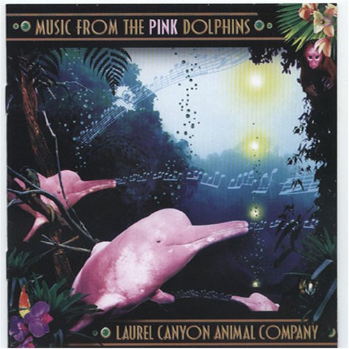 MUSIC FROM THE PINK DOLPHINS
