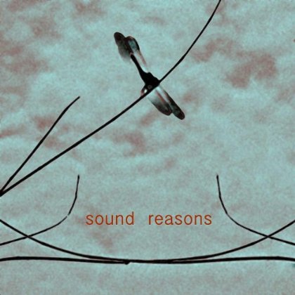 SOUND REASONS (T0) / VARIOUS