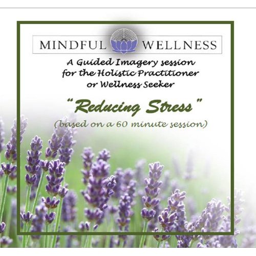 MINDFUL WELLNESS GUIDED IMAGERY: REDUCING STRESS