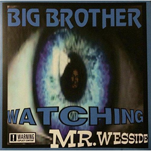 BIG BROTHER WATCHING