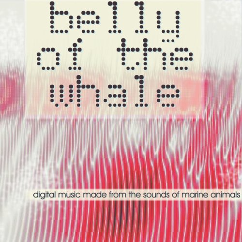BELLY OF THE WHALE / VARIOUS
