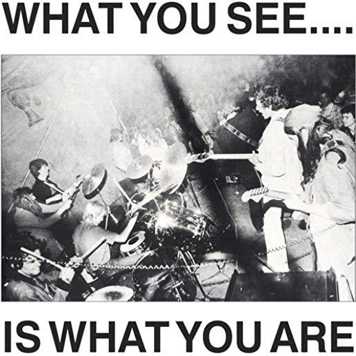 WHAT YOU SEE IS WHAT YOU ARE