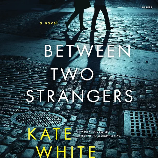 Between Two Strangers: A Novel of Suspense