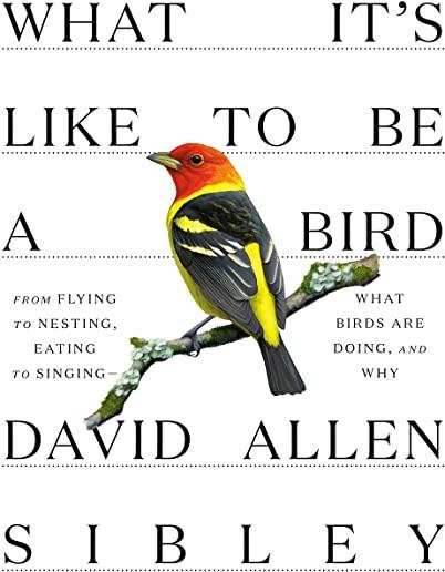 What It's Like to Be a Bird: From Flying to Nesting, Eating to Singing--What Birds Are Doing, and Why