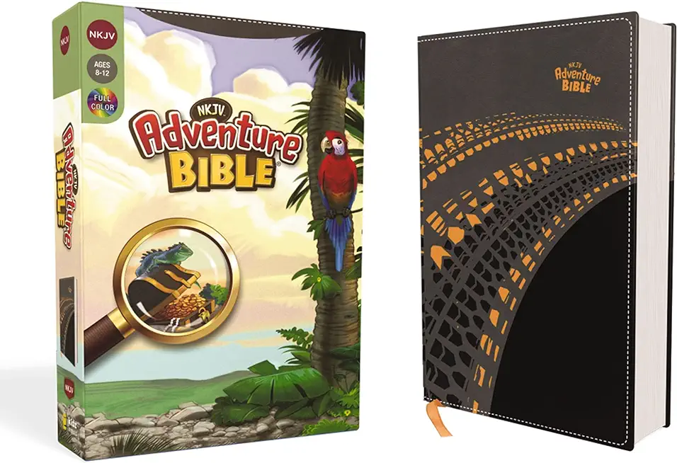 Nkjv, Adventure Bible, Leathersoft, Gray, Full Color