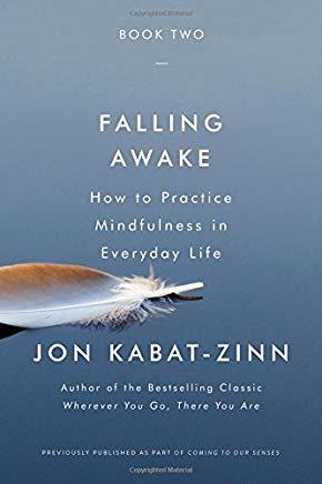 Falling Awake: How to Practice Mindfulness in Everyday Life