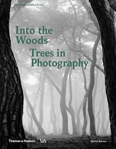 Into the Woods: Trees and Photography