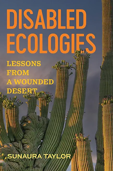 Disabled Ecologies: Lessons from a Wounded Desert