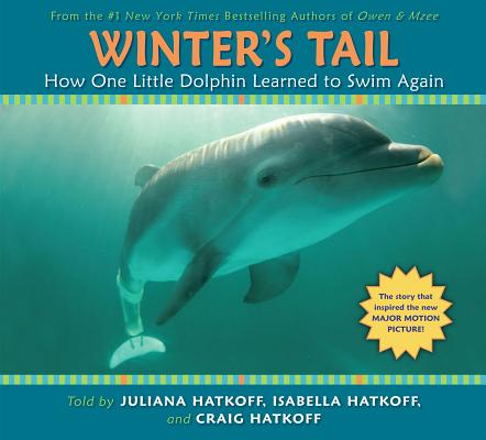 How One Little Dolphin Learned to Swim Again (Winter's Tail): How One Little Dolphin Learned to Swim Again
