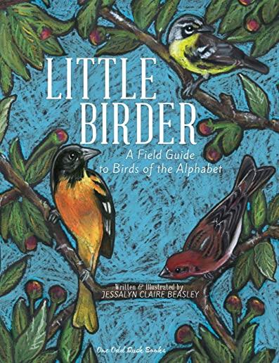 Little Birder: A Field Guide to Birds of the Alphabet