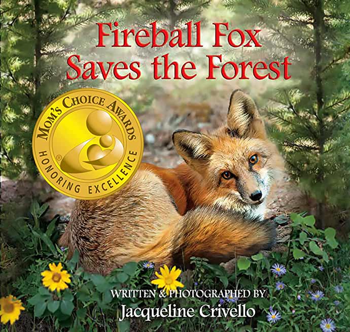 Fireball Fox Saves the Forest