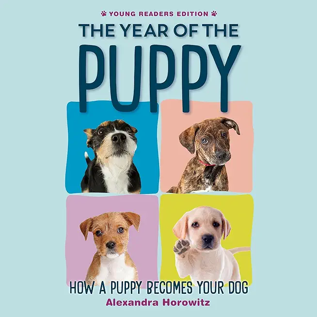 Year of the Puppy: How a Puppy Becomes Your Dog