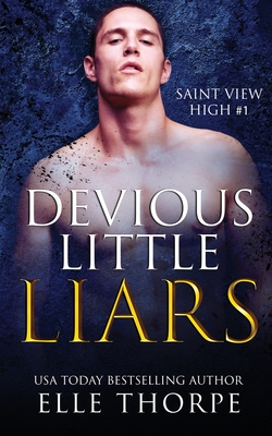 Devious Little Liars: A High School Bully Romance
