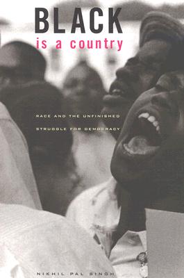 Black Is a Country: Race and the Unfinished Struggle for Democracy