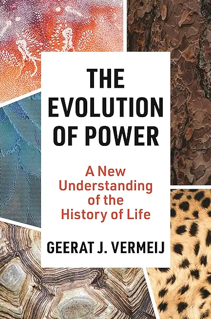 The Evolution of Power: A New Understanding of the History of Life
