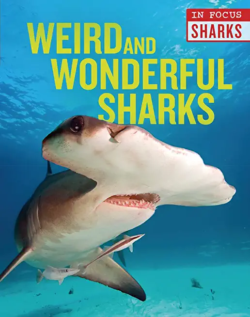 Weird and Wonderful Sharks