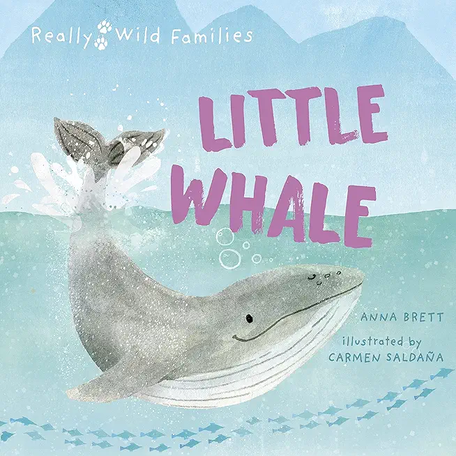 Little Whale: A Day in the Life of a Little Whale