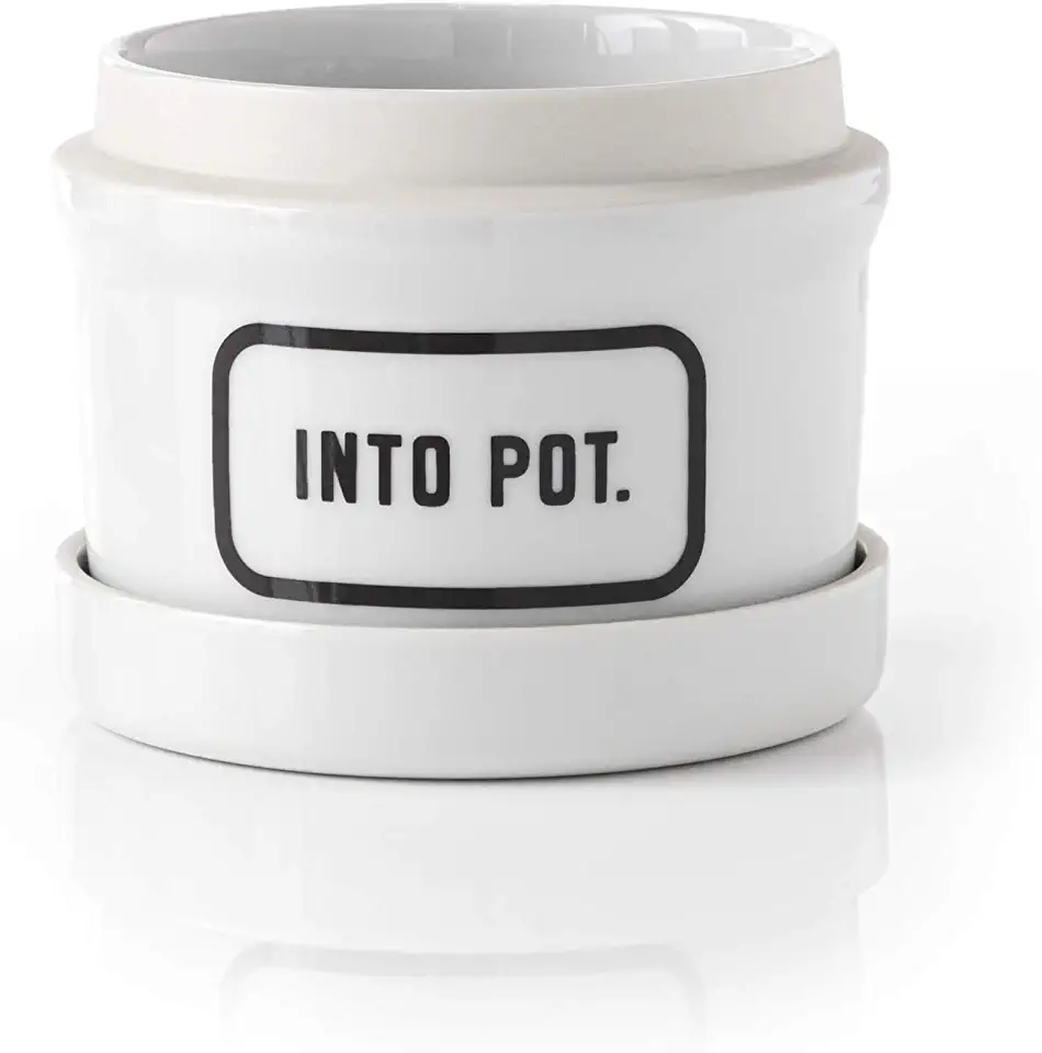 Into Pot Planter W/ Drip Tray