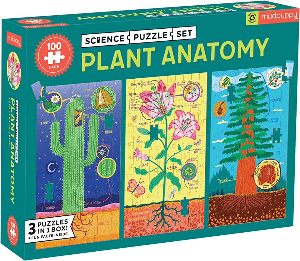Plant Anatomy Science Puzzle Set