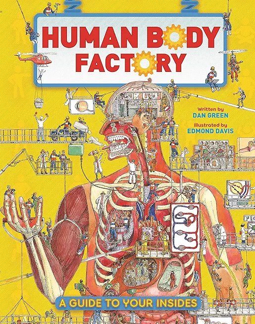 The Human Body Factory: A Guide to Your Insides