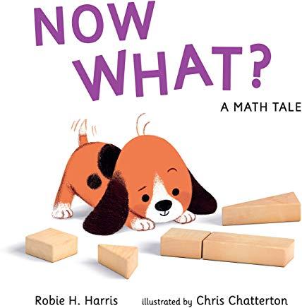 Now What? a Math Tale