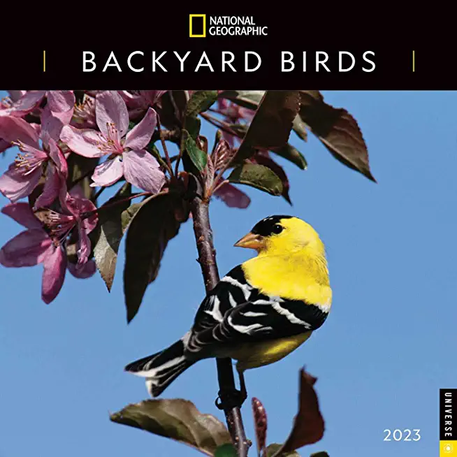 National Geographic: Backyard Birds 2023 Wall Calendar