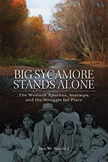 Big Sycamore Stands Alone, Volume 1: The Western Apaches, Aravaipa, and the Struggle for Place