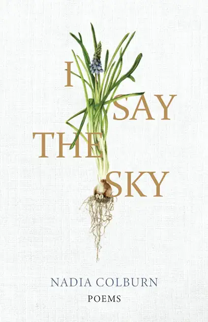 I Say the Sky: Poems