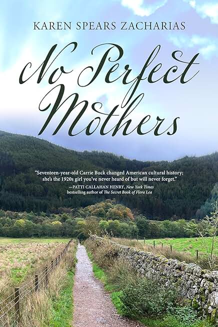 No Perfect Mothers