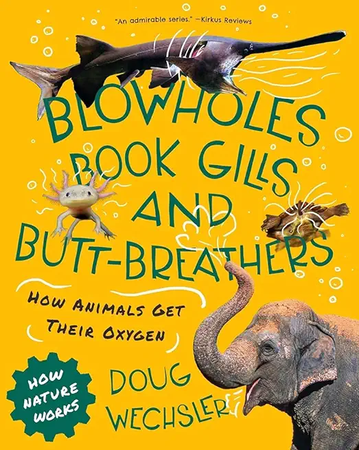Blowholes, Book Gills, and Butt-Breathers: The Strange Ways Animals Get Oxygen