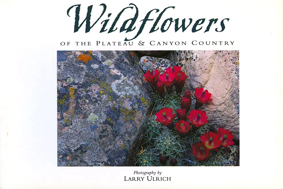 Wildflowers of the Plateau & Canyon Country: Twenty Postcards