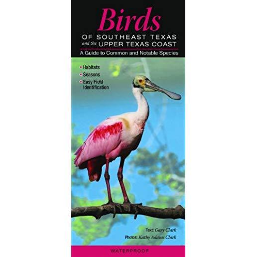 Birds of Southeast Texas & the Upper Texas Coast: A Guide to Common & Notable Species