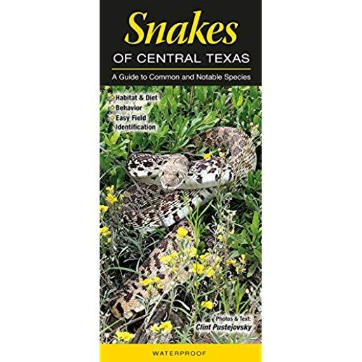 Snakes of Central Texas: A Guide to Common & Notable Species