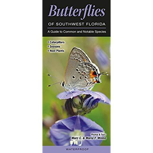 Butterflies of Southwest Florida: A Guide to Common & Notable Species