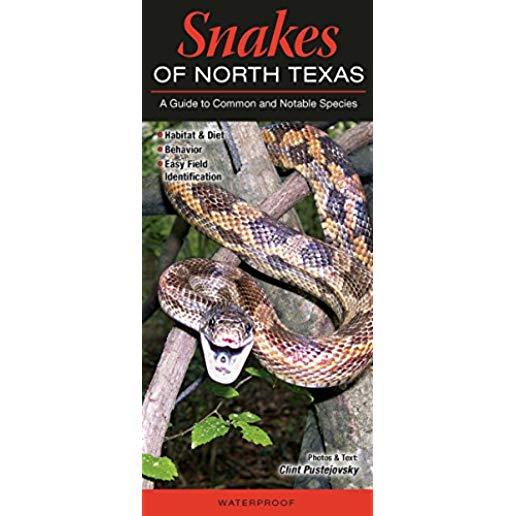 Snakes of North Texas: A Guide to Common & Notable Species