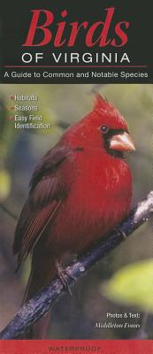 Birds of Virginia: A Guide to Common & Notable Species