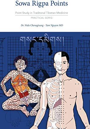 Sowa Rigpa Points: Point Study in Traditional Tibetan Medicine