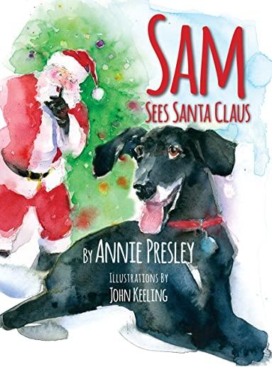 Sam Sees Santa Claus