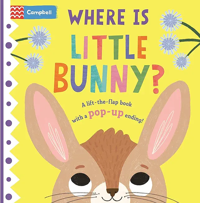 Where Is Little Bunny?: The Lift-The-Flap Book with a Pop-Up Ending!