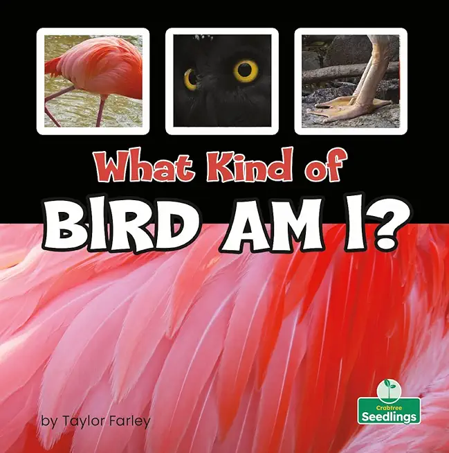 What Kind of Bird Am I?