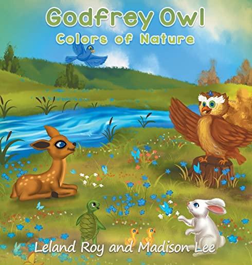 Godfrey Owl: Colors of Nature