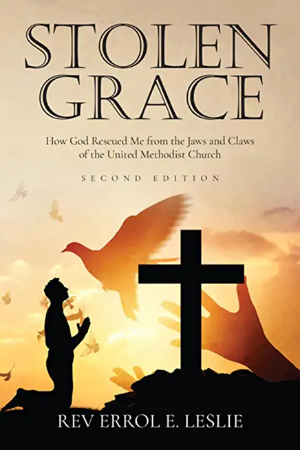 Stolen Grace: A Memoir: How God Rescued Me from the Jaws and Claws of the United Methodist Church