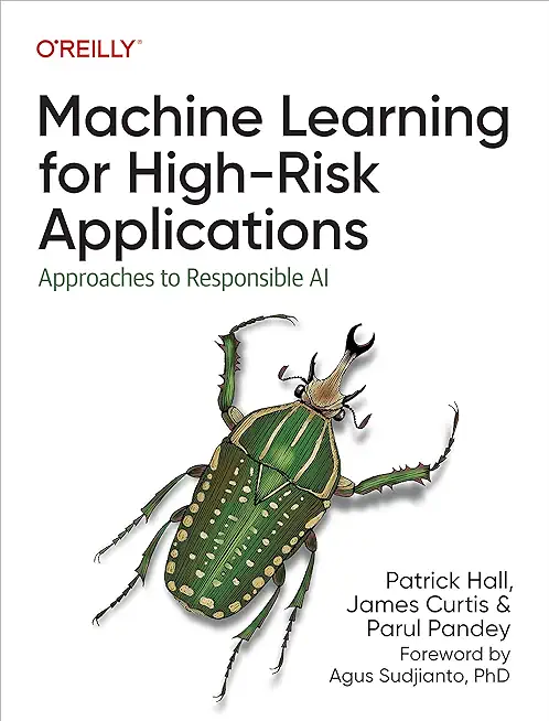 Machine Learning for High-Risk Applications: Approaches to Responsible AI