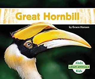 Great Hornbill