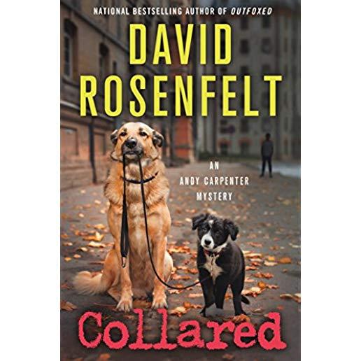 Collared: An Andy Carpenter Mystery