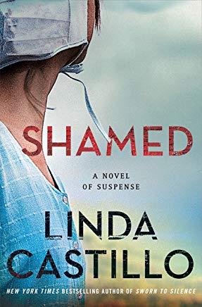 Shamed: A Kate Burkholder Novel