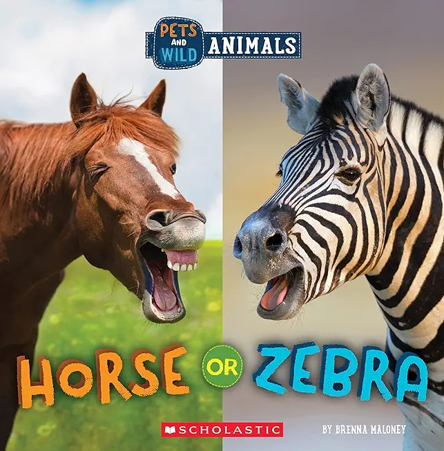 Horse or Zebra (Wild World: Pets and Wild Animals)